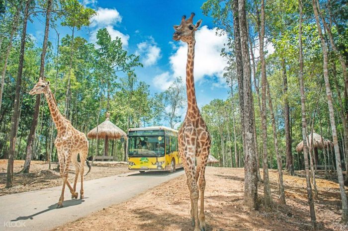 Khu Safari Phú Quốc thu hút trẻ em